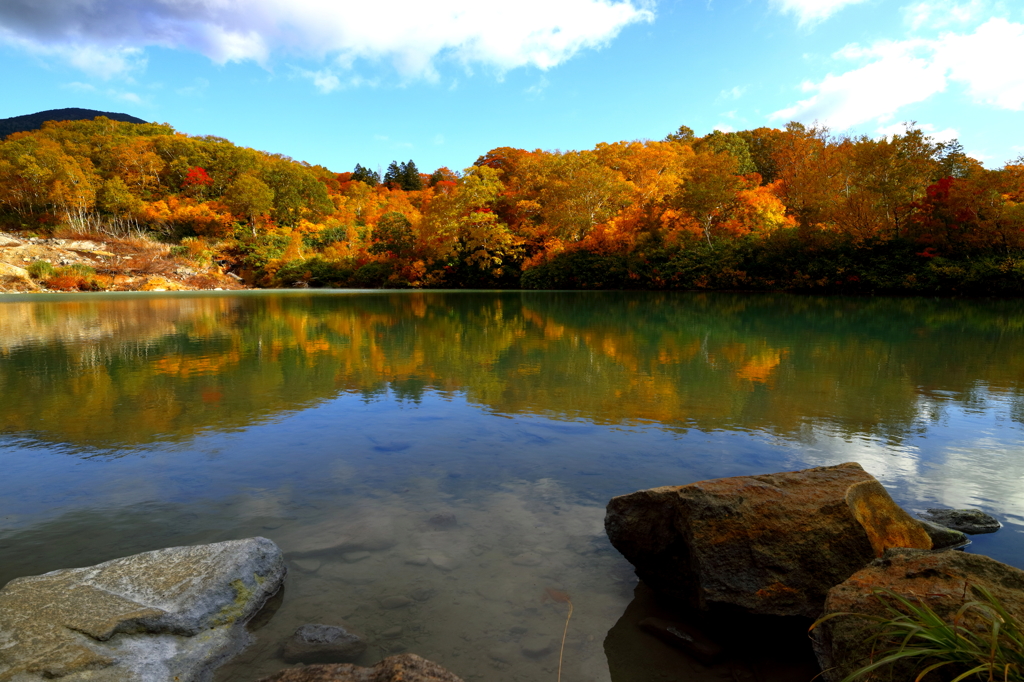 水鏡紅葉 II