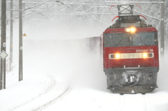 雪そして・・・I