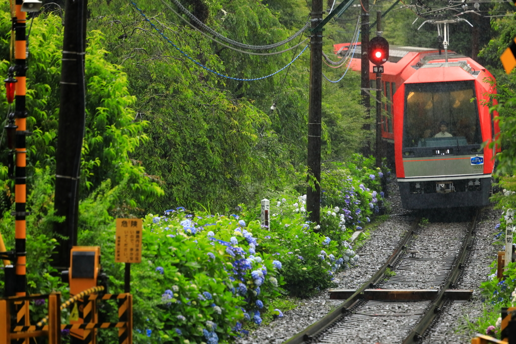 雨の箱根路 VI