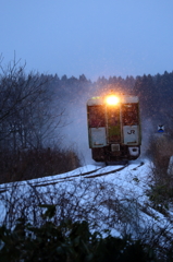 Snowfield Train VIII