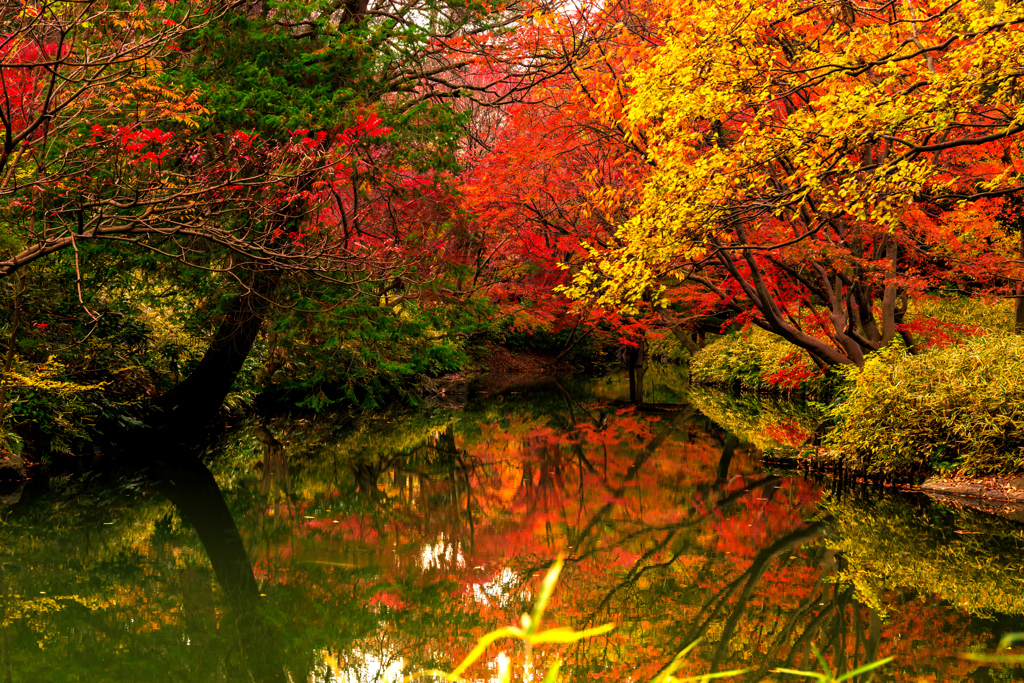 都会の紅葉 II