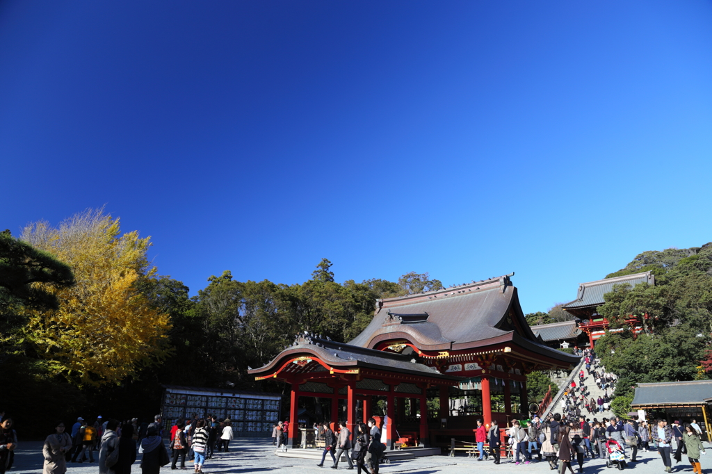 鶴岡八幡宮の秋 01