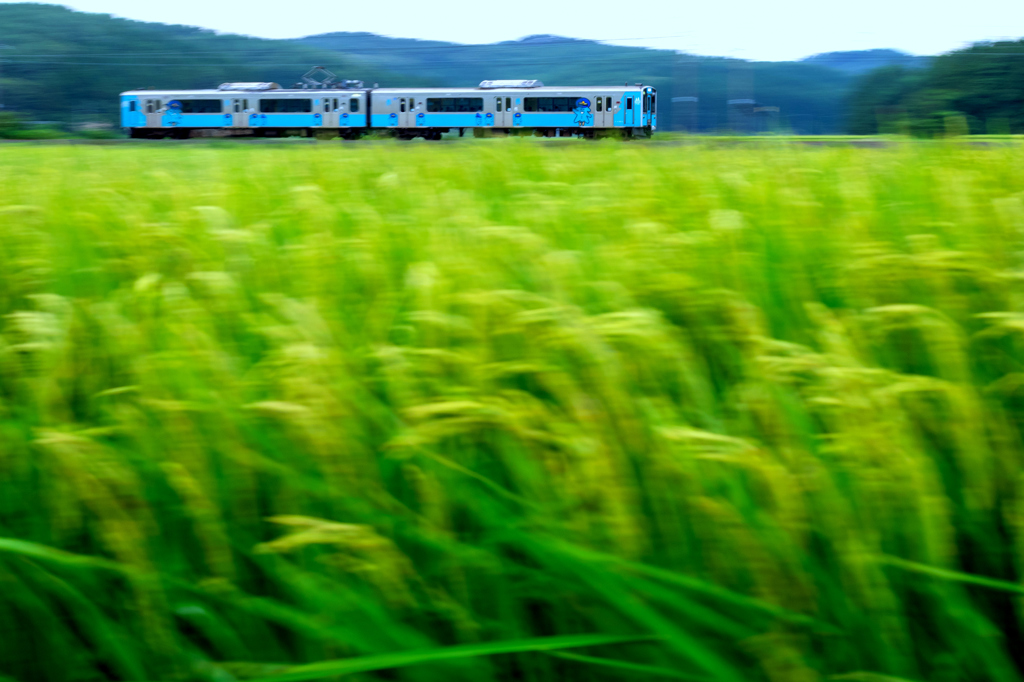 田園疾走 III