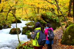 紅葉の奥入瀬渓流 64