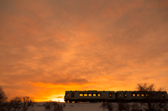 Morning glow train XIX