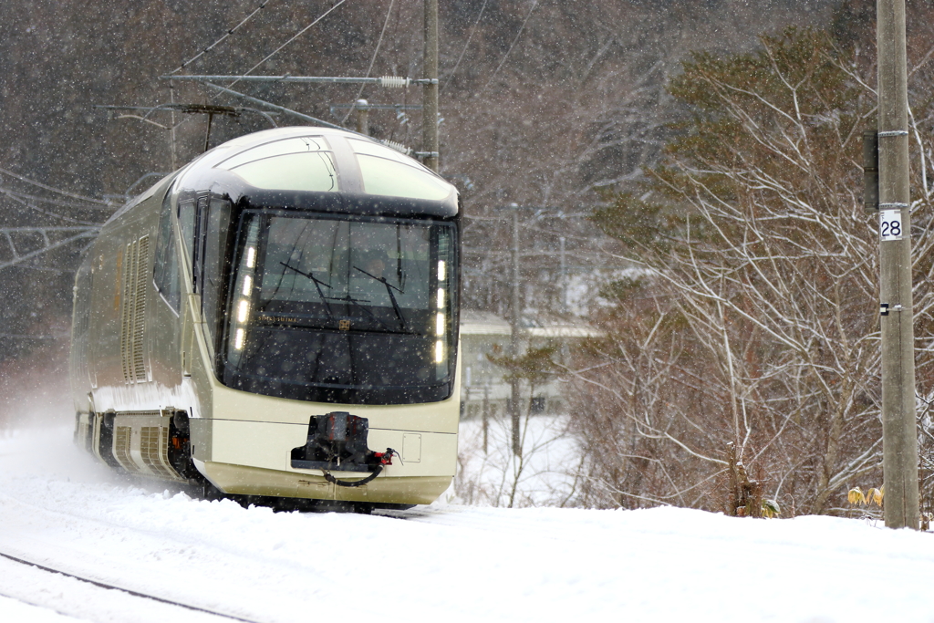TRAIN SUITE 四季島 VIII