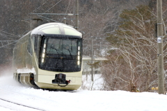TRAIN SUITE 四季島 VIII