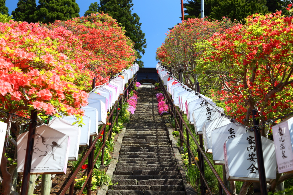 天王神社のつつじまつり
