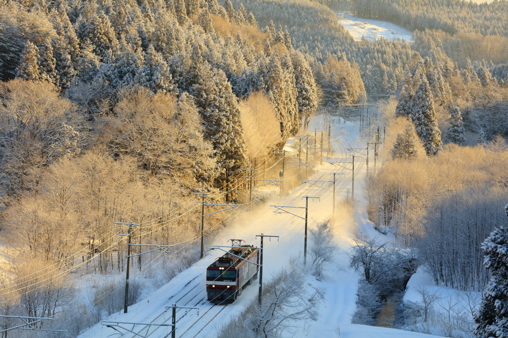 雪化粧した森から