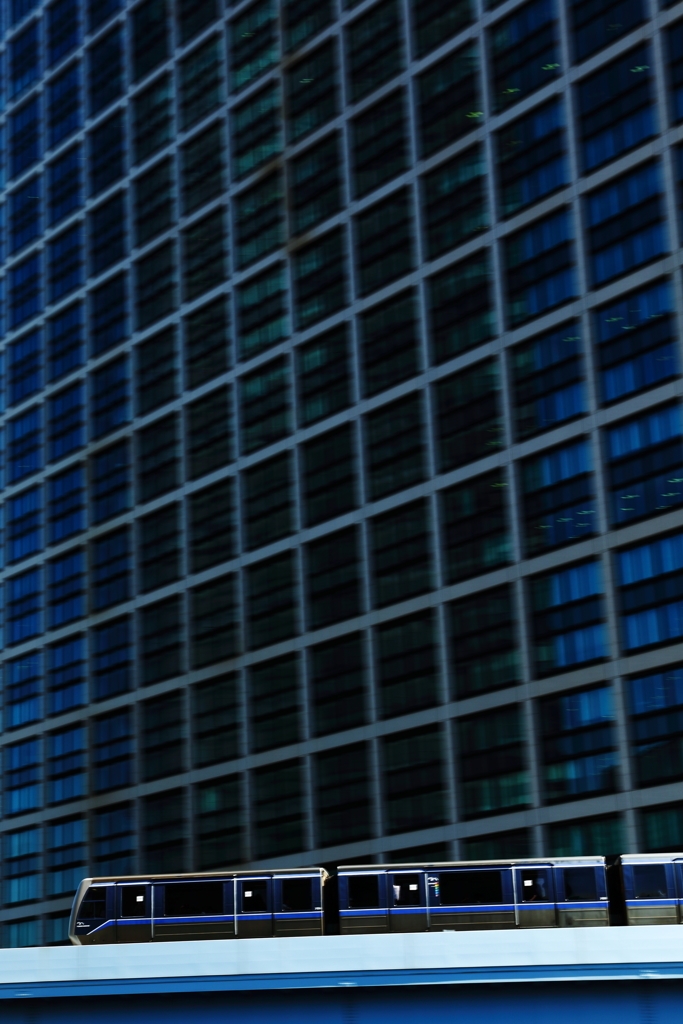 ビル街のゆりかもめ
