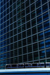 ビル街のゆりかもめ