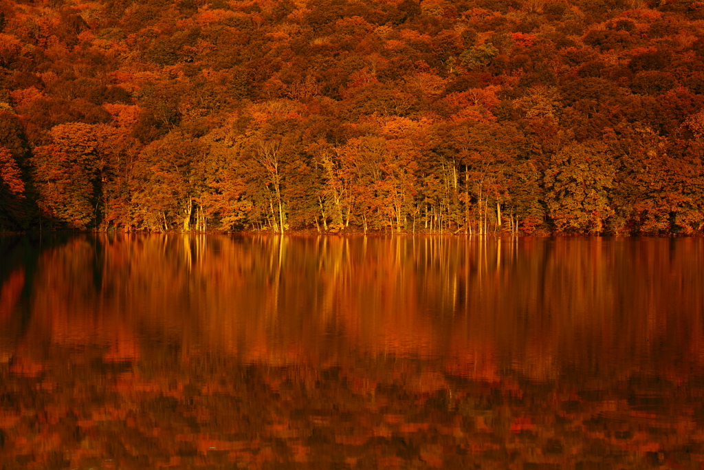 1/2の絶景