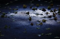 水溜