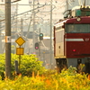 斜陽の・・・I