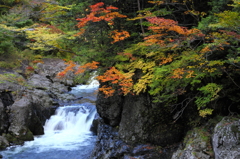 色づき始めの薬研渓流にて 色づき始めの薬研渓流にて