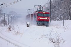 Snowfield Train XXII