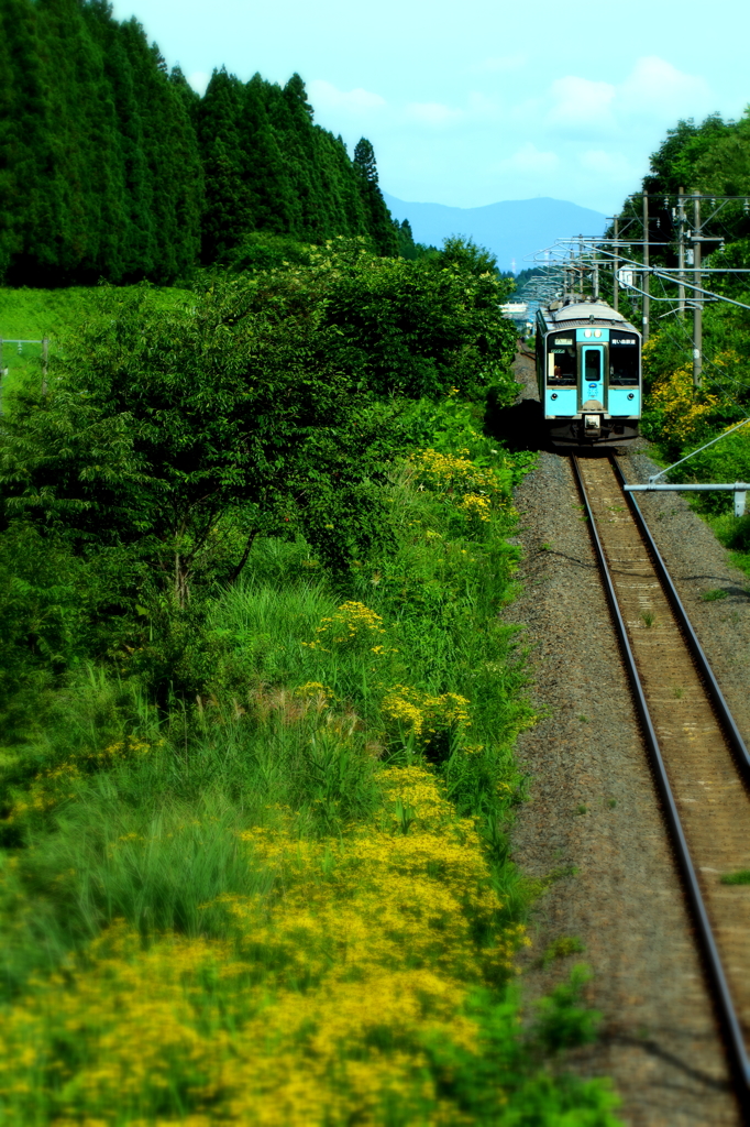 朝の青鉄