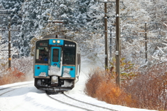 雪青