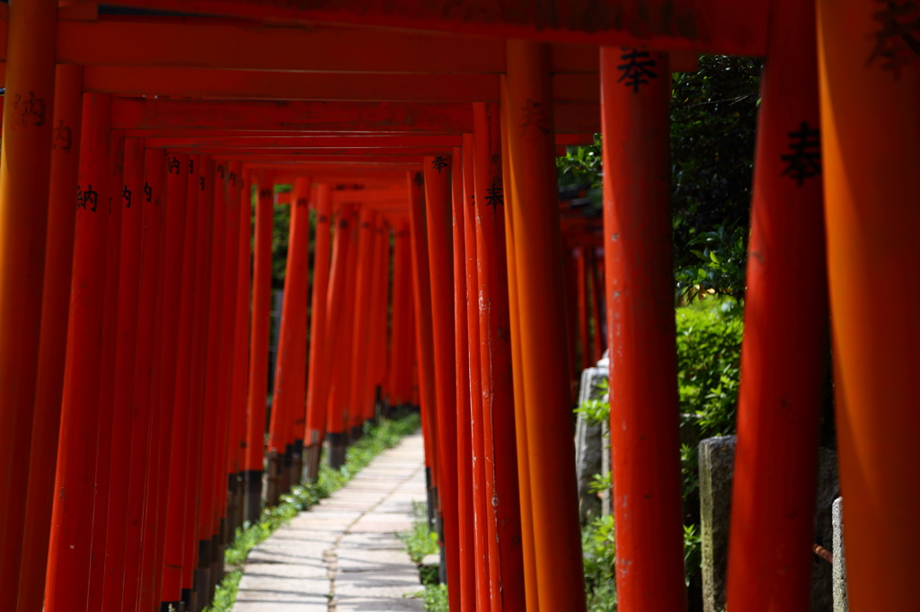 根津稲荷の千本鳥居
