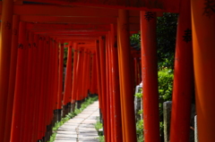 根津稲荷の千本鳥居