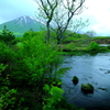 グダリ沼の春 III