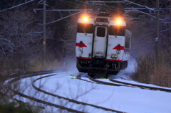 Snowfield Train IX
