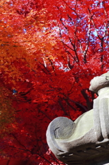 寛永寺清水観音堂の紅葉