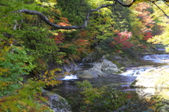 色づき始めの薬研渓流にて 色づき始めの薬研渓流にて