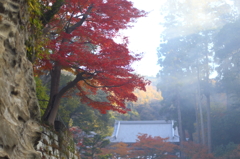 円覚寺の秋 04 円覚寺の秋 04