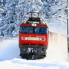 11月の雪景色 III