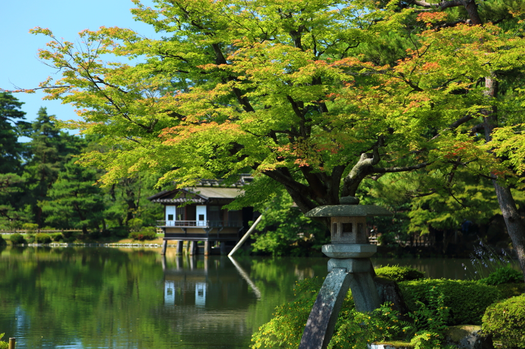 兼六園の定番