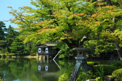 兼六園の定番