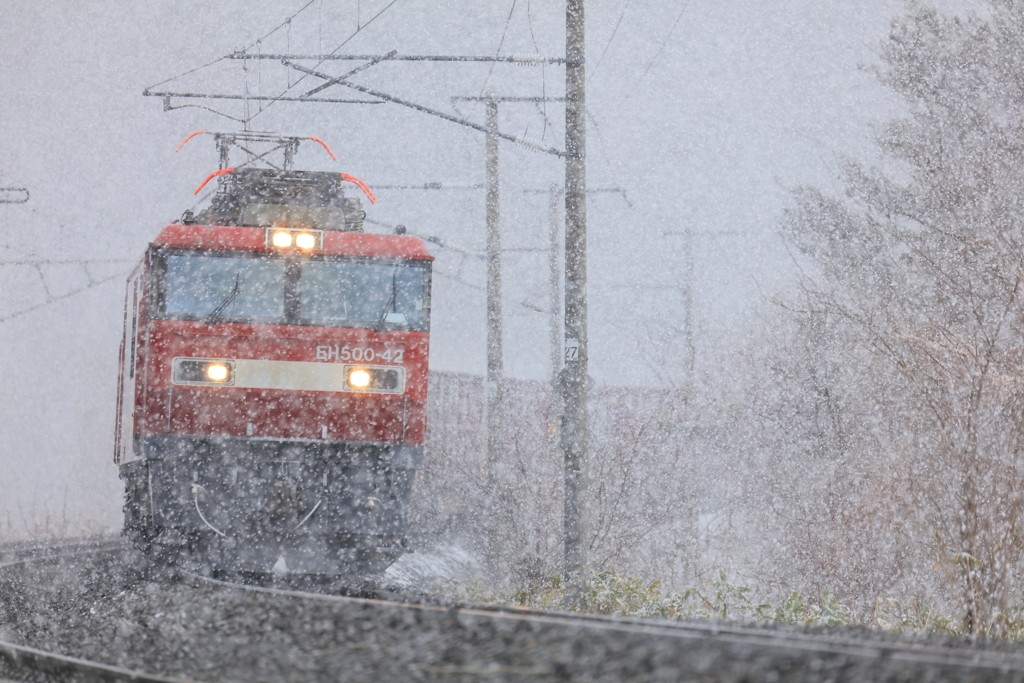 なごり雪 III -試写-