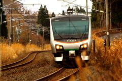 晩秋のみちのく路 XI