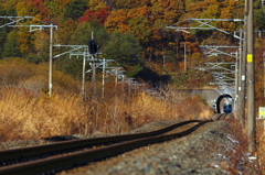 トンネルの先は・・・