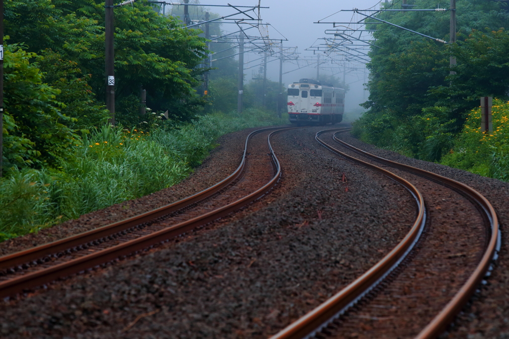 霧の中へ・・・キハ