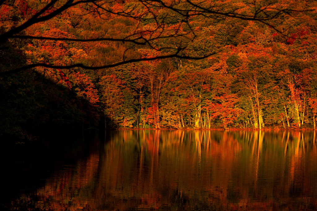 陰と陽と紅葉 II