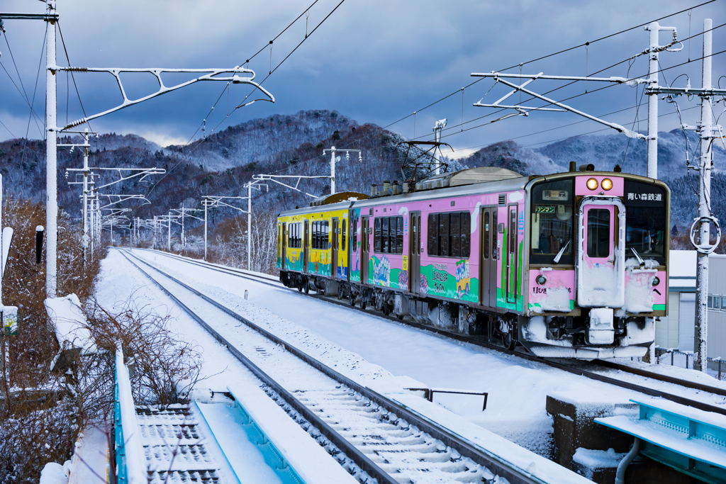 久しぶりの雪・・・ II