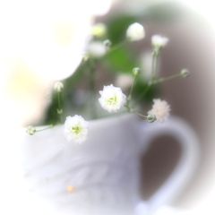 夢虚 II