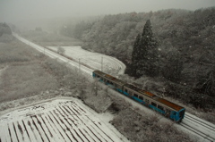 雪降るなか・・・ I