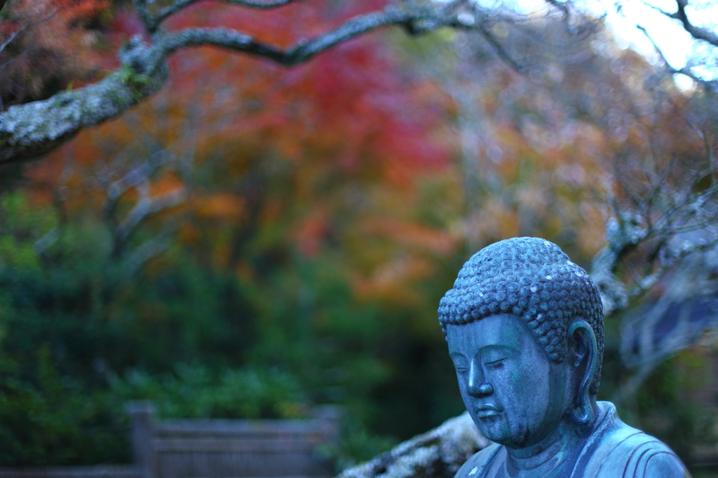 東慶寺の秋 03