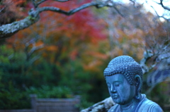 東慶寺の秋 03 東慶寺の秋 03