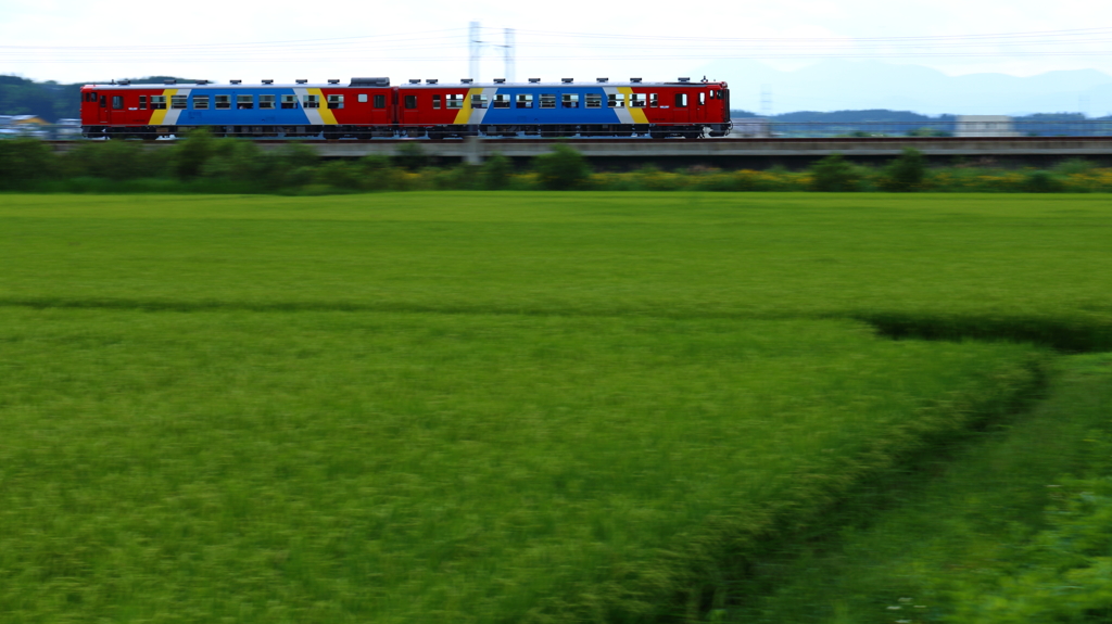 田園の「まさかり」