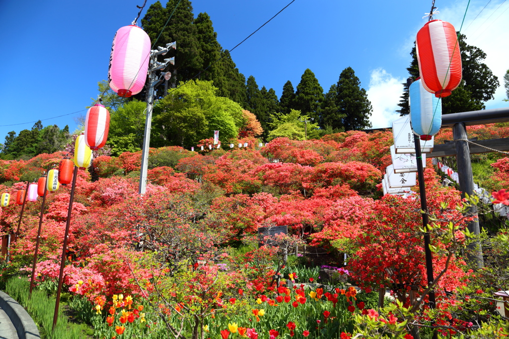 天王神社のつつじまつり