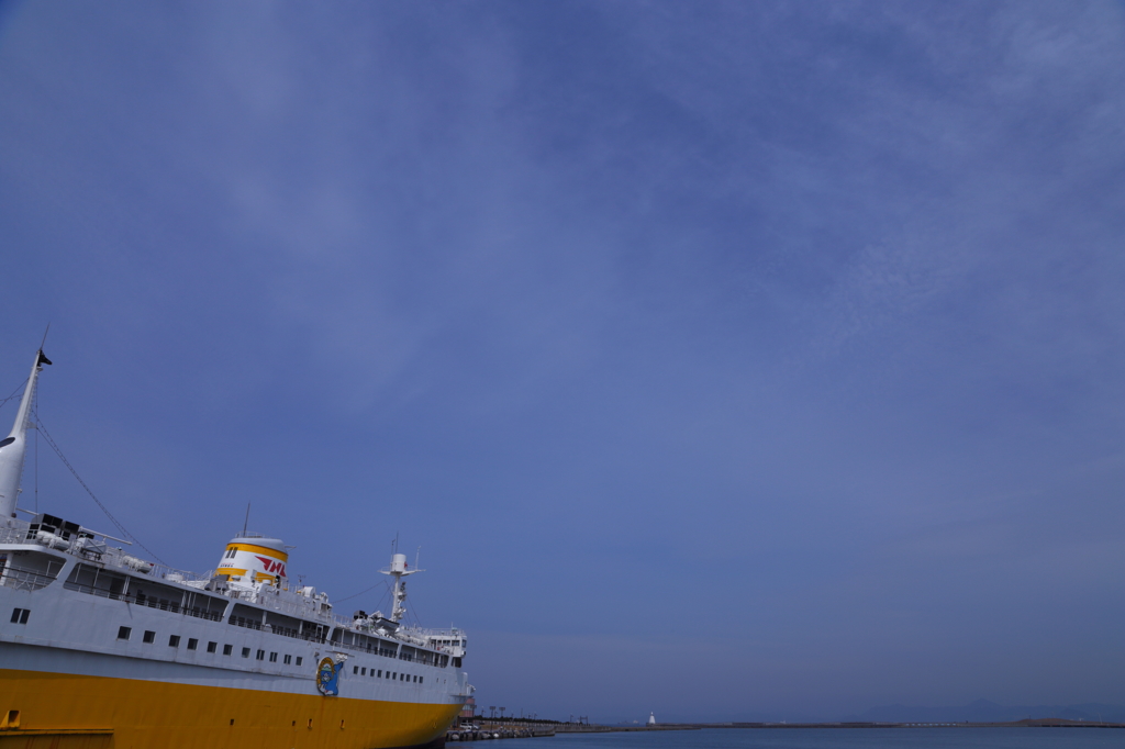 春が来た・・・