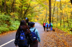 紅葉の奥入瀬渓流 62