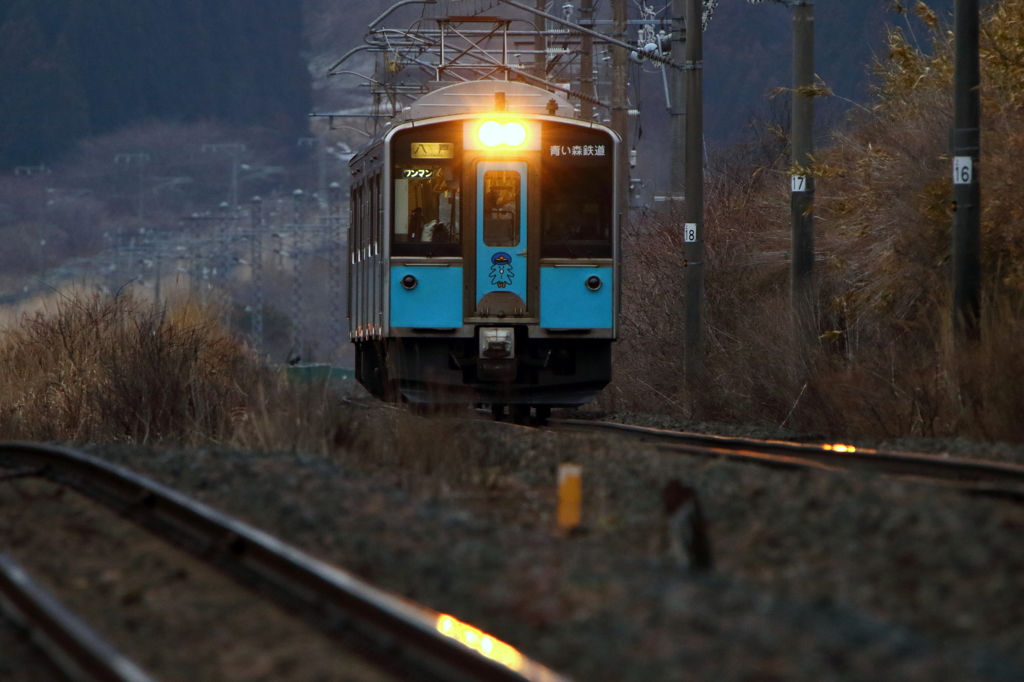 悪条件での試写 II