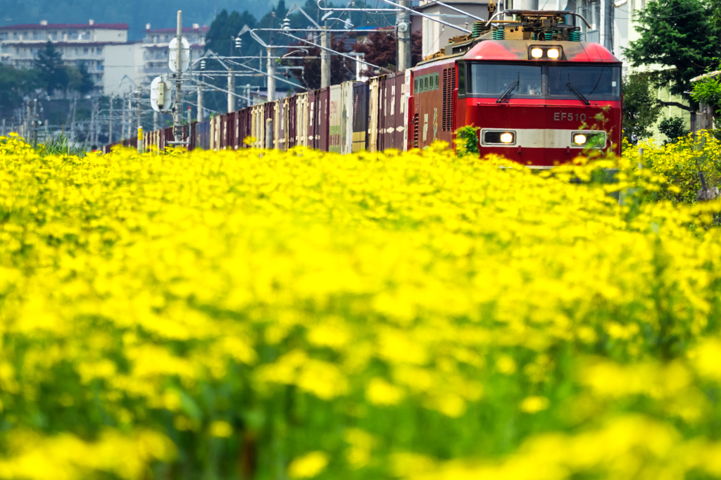 夏の鉄道風景 XIII