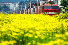 夏の鉄道風景 XIII