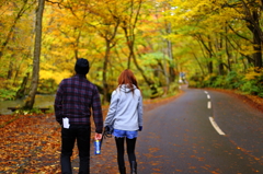 紅葉の奥入瀬渓流 63